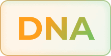 DNA